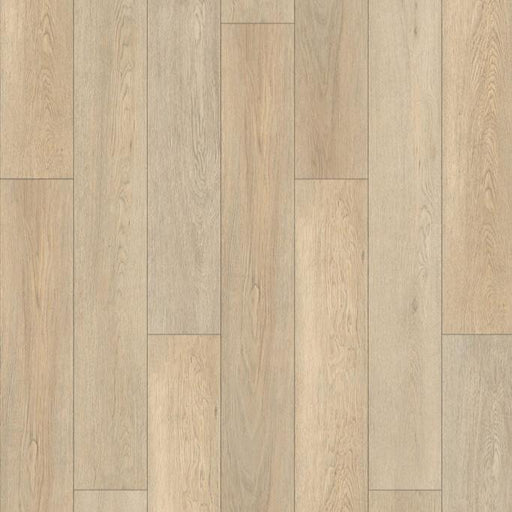 TAIGA - Aquila Collection - Focus