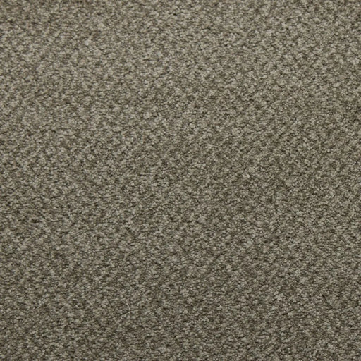 Primco - Estates Carpet - Soft Spoken Collection - Fortitude