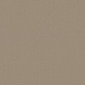 Shaw Floors - Carpet - Classics Collection  - Awaken Spirit I 12' - Fresco