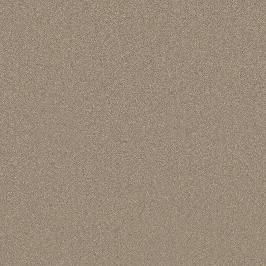 Shaw Floors - Carpet - Classics Collection  - Awaken Spirit II - 12' - Fresco
