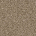 ACORN DESIGN - PACIFIC RIM COLLECTION - 24OZ CUT PILE CARPET - GLADE