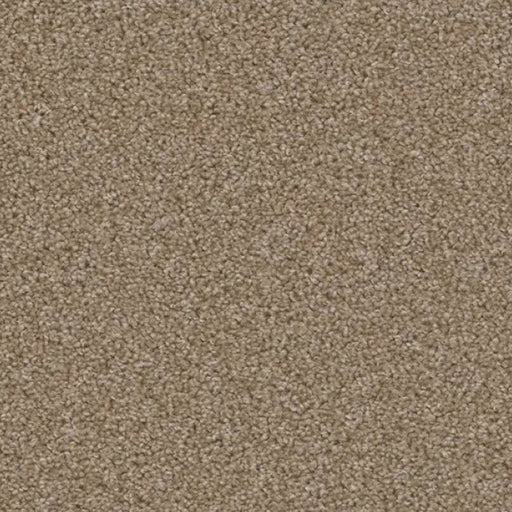 ACORN DESIGN - PACIFIC RIM COLLECTION - 24OZ CUT PILE CARPET - GLADE