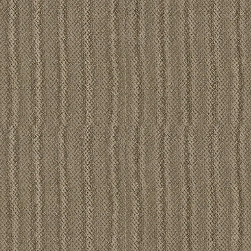 Shaw Floors - Carpet- Foundations Collection - Grounded