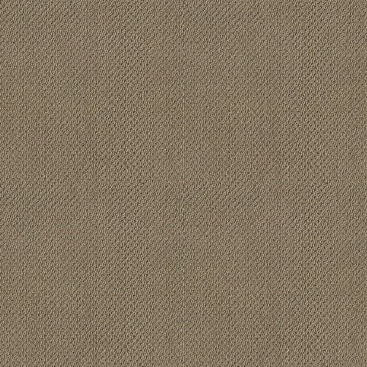 Shaw Floors - Carpet- Foundations Collection - Grounded