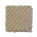 Shaw Floors - Carpet- Foundations Collection - Grounded