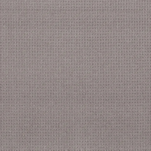 Shaw Floors - Carpet - Foundations Collection - Faint Intent - Grey Fox