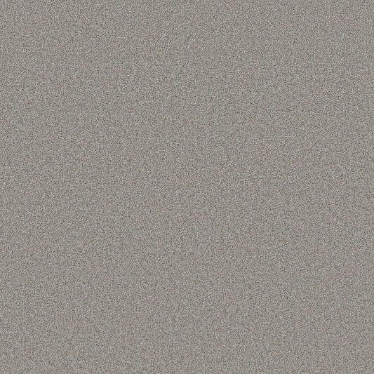 Shaw Floors - Carpet- Foundations Collection - HARMONIOUS II - Grey Fox