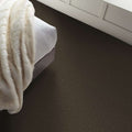 Shaw Floors - Carpet - Classics Collection  - Awaken Spirit II - 15' - Wood Grain