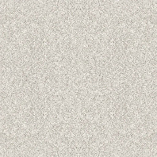 Shaw Floors - Carpet - Foundations Collection  - Alluring Canvas - Gallery Opening