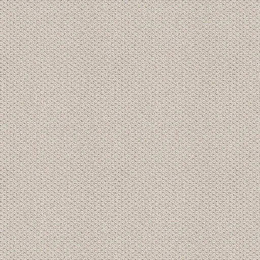 Shaw Floors - Carpet - Foundations Collection - Faint Intent - Gallery Opening