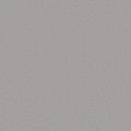 Shaw Floors - Carpet - Classics Collection  - Awaken Spirit I 12'- Gentle Rain