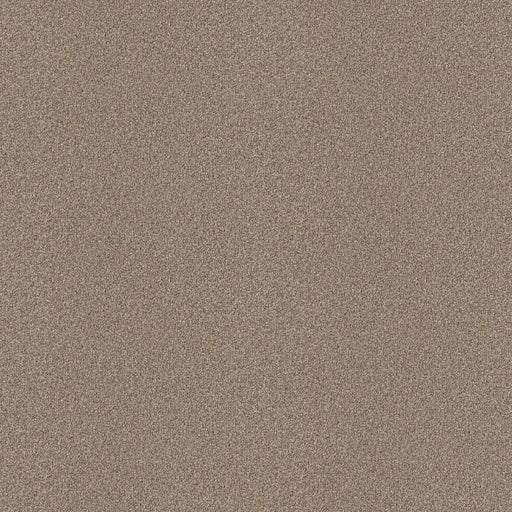 Shaw Floors - Carpet - Simply The Best  - Attainable - Grecian Tan