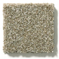 Shaw Floors - Carpet - Simply The Best  - Attainable - Grecian Tan
