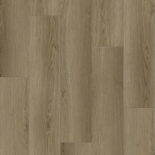 Cyrus Floors - Nautilus Collection - Glendale
