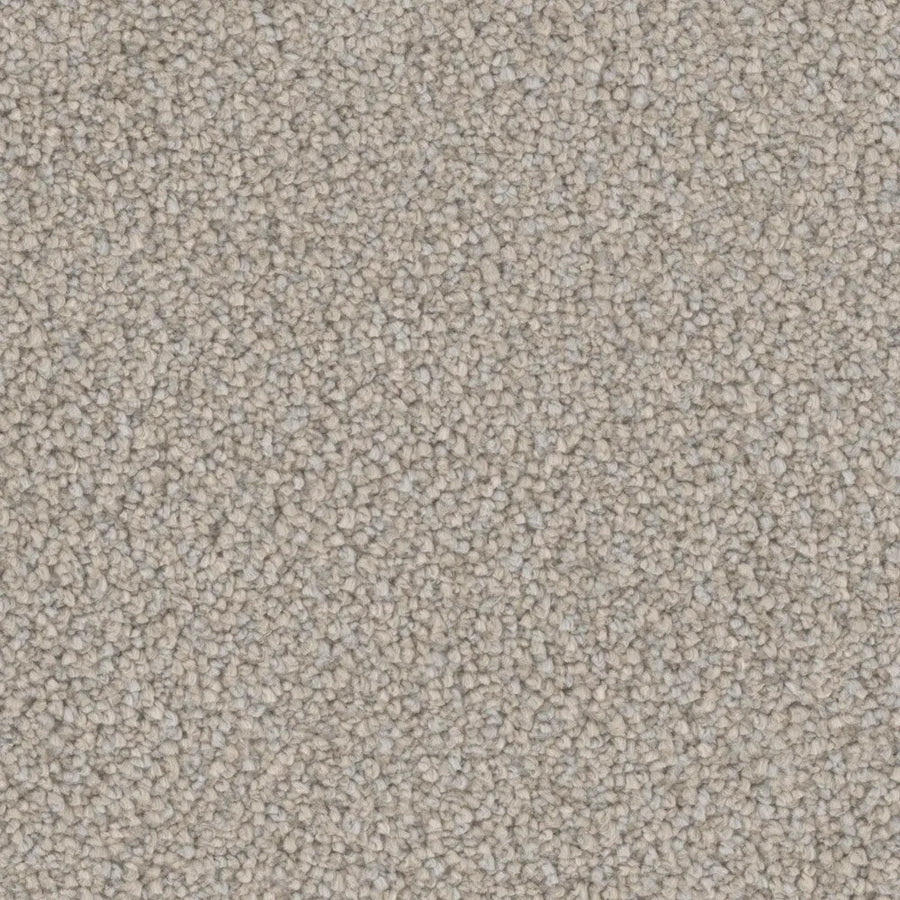 Primco - Estates Carpet - Tender Collection - Glisten