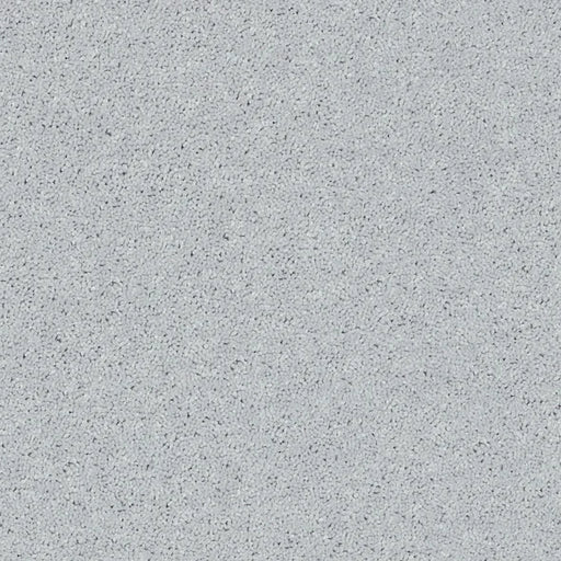 Shaw Floors - Carpet - Full Court 12' - Dove