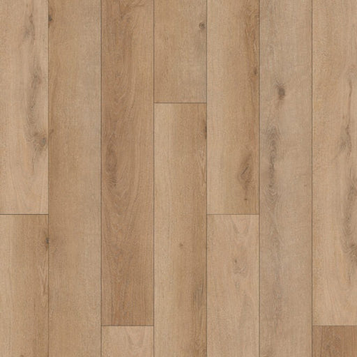 TAIGA - Stonewear+ Collection - Grog