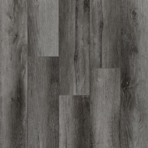 TAIGA - Stonewear+ Collection - Gunpowder