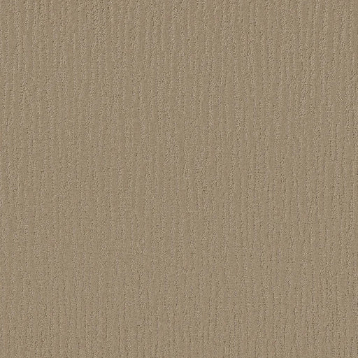 Shaw Floors - Carpet - Simply The Best Collection - Bandon Dunes - Hiking Trail