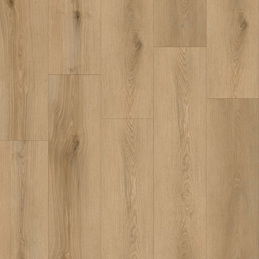 TAIGA - HydroXpert Collection - Hazelnut