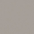Shaw Floors - Carpet - Classics Collection  - Awaken Spirit II - 12' - Hazy Sky