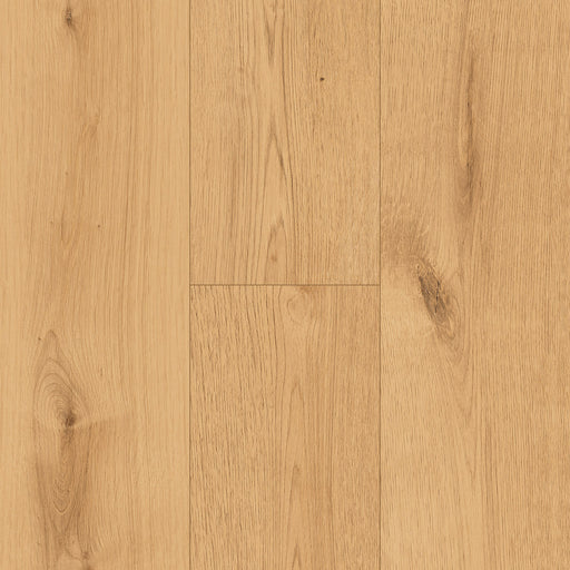 InHaus - Ceramin® - Icon Collection - Hollyburn