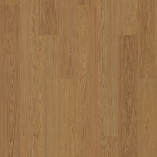 BJELIN - WOODURA - SELECT COLLECTION - XL FORMAT - OAK - HONEY