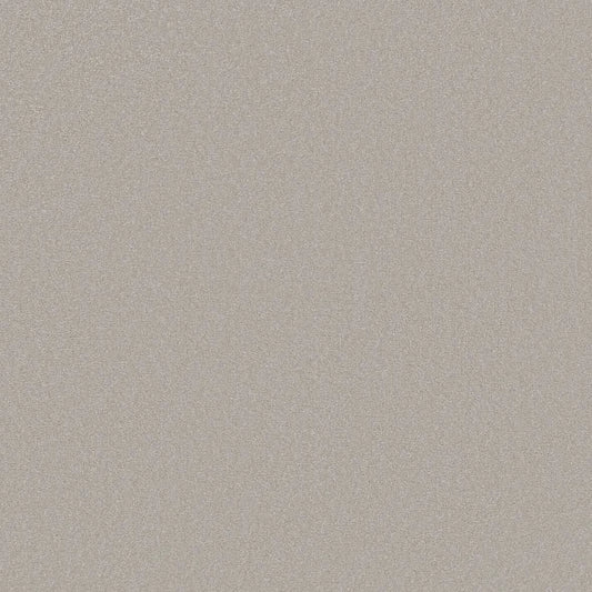 Shaw Floors - Carpet - Classics Collection  - Awaken Spirit II - 15' - Ice Cube