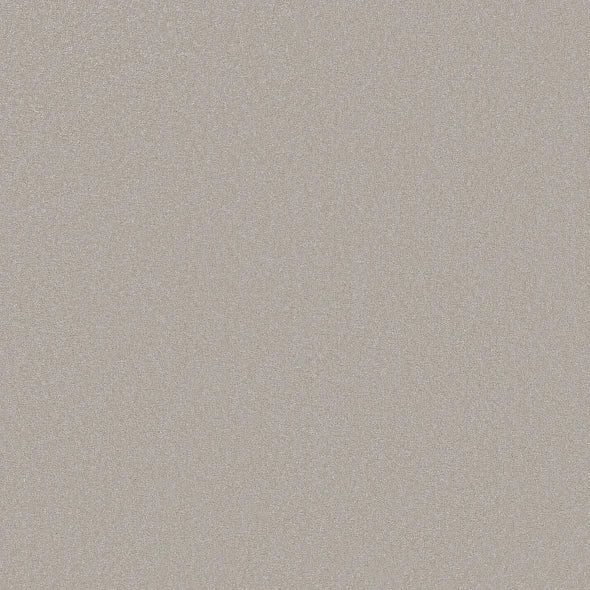 Shaw Floors - Carpet - Classics Collection  - Awaken Spirit I 12' - Ice Cube