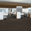 Shaw Floors - 5th & Main Carpet - Native Collection - INDIGENOUS