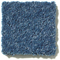 Shaw Floors - Carpet - Full Court 12' - Indigo