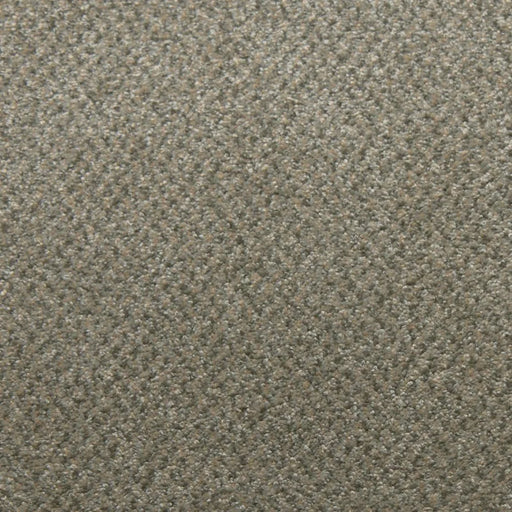Primco - Estates Carpet - Tender Collection - Jasper