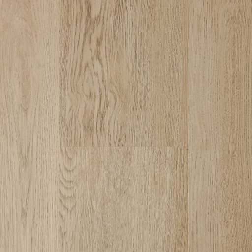 Pontek - SPC Collection - Juniper