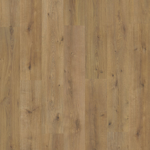 Grandeur Flooring - XXL Collection - Kilimanjaro