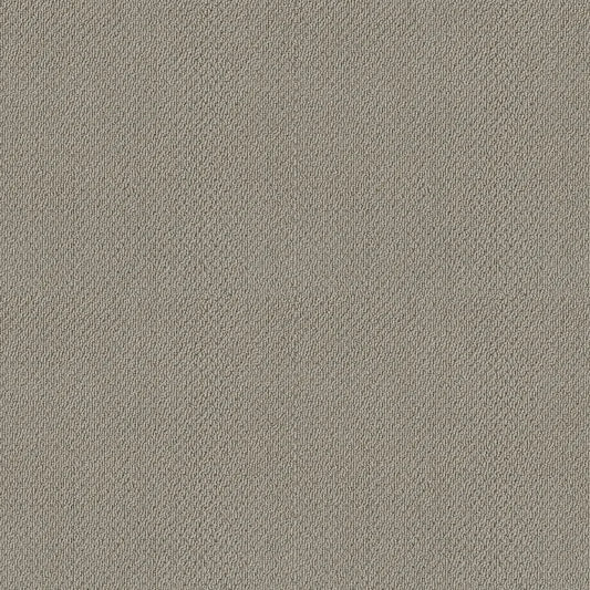 Shaw Floors - Carpet- Foundations Collection - Lady In Gray