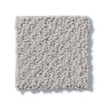 Shaw Floors - Carpet- Foundations Collection - Lady In Gray