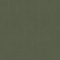 Shaw Floors - Carpet- Foundations Collection - Lush Garden