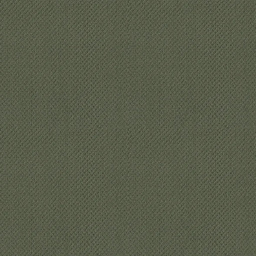 Shaw Floors - Carpet- Foundations Collection - Lush Garden