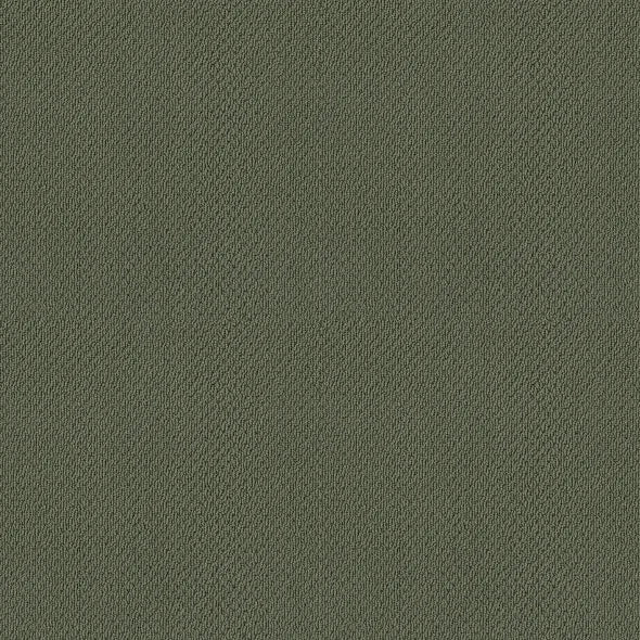 Shaw Floors - Carpet- Foundations Collection - Lush Garden