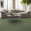 Shaw Floors - Carpet- Foundations Collection - Lush Garden