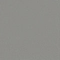 Shaw Floors - Carpet - Classics Collection  - Awaken Spirit II - 12'- Luna