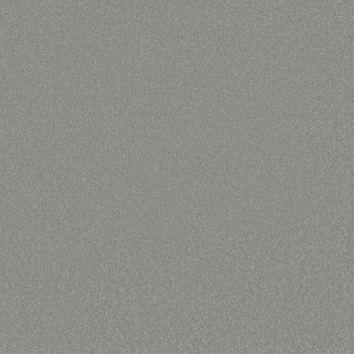 Shaw Floors - Carpet - Classics Collection  - Awaken Spirit I 12'- Luna