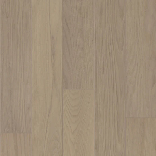 BIYORK - Nouveau 6 - American Oak Collection - Loire Forest