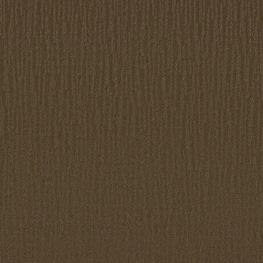 Shaw Floors - Carpet - Simply The Best Collection - Bandon Dunes - Mocha Chip