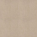 Shaw Floors - Carpet - COMFORTING I - Mesa