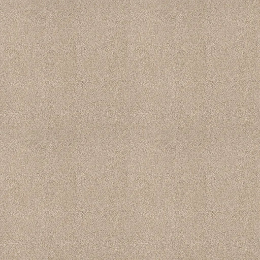 Shaw Floors - Carpet - COMFORTING II - Mesa