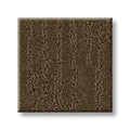 Shaw Floors - Carpet - Simply The Best Collection - Bandon Dunes - Mocha Chip