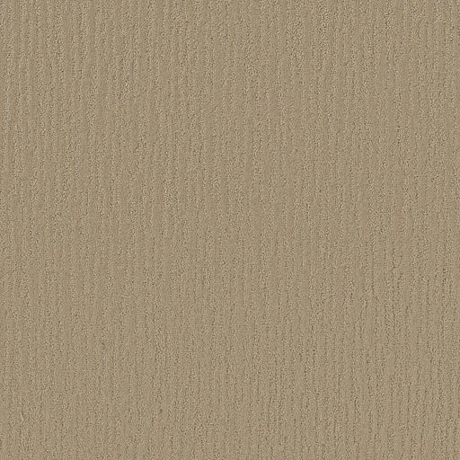 Shaw Floors - Carpet - Simply The Best Collection - Bandon Dunes - Mushroom