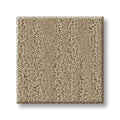 Shaw Floors - Carpet - Simply The Best Collection - Bandon Dunes - Mushroom