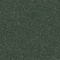 Shaw Floors - Carpet - Full Court 12' - Going Green